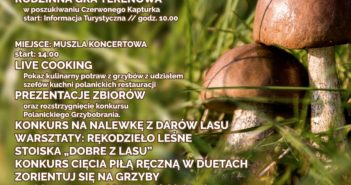 Grzybów-zdroje